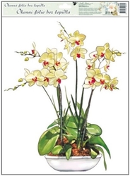Okenní fólie orchideje 38x30cm žlutá