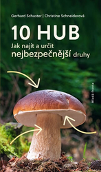 10 Pilze – So finden und identifizieren Sie die häufigsten Arten