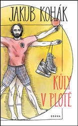 Kůly v plotě