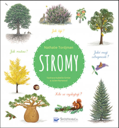 Stromy
