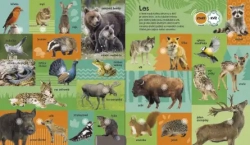 Audio book of 175 animal sounds
