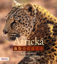 African alphabet