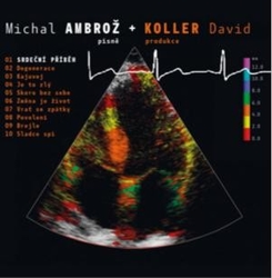 CD Michal Ambrož & David Koller : Srdeční příběh