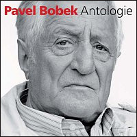 CD Bobek Pavel - Antologie