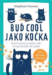 Be cool as a cat