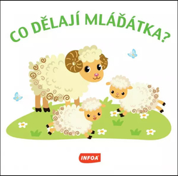 Čo robia mláďatká?