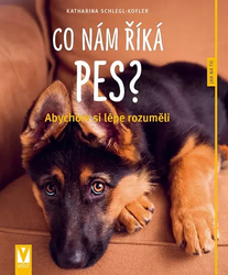What does the dog tell us?