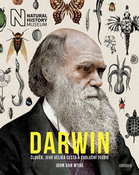 Darwin - Damaged