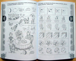 Puzzles for preschoolers from 4-5