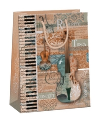 Bag gift violin