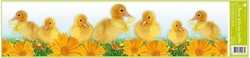 Window film stripe - DUCK YELLOW FLOWERS