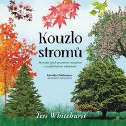 Kúzlo stromov