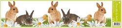 Window film stripe - RABBITS (Anděl Př)