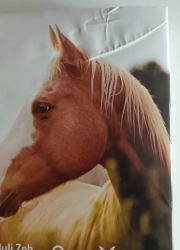 Kôň - láska aj závislosť