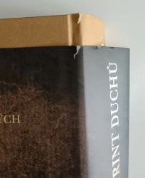 Stín větru 4: Labyrint duchů - Poškozené