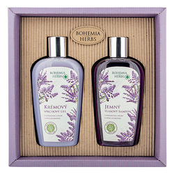 Lavender cosmetic set - shower gel + shampoo