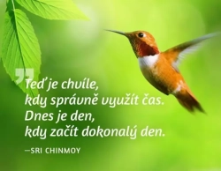 Magnet na lednici - Teď je chvíle, kdy správně využít čas. Dnes je den, kdy začít dokonalý den.