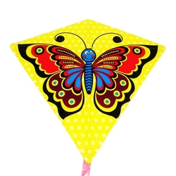 Dragon Butterfly 68x73 cm