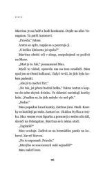 Nebezpečná hra - Camilla Läckberg
