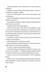 Něco na tom asi bude... - Ladislava Horová
