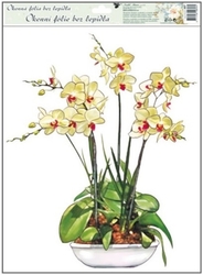 Fensterfolie Orchidee 38x30cm gelb