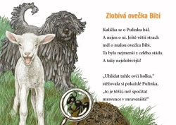 Pejsek Kulička a veselé sny