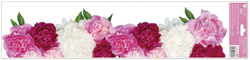 Window film stripe Peonies 64x15 cm 
