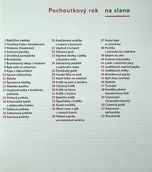 Pochoutkový rok - 120 tradičních receptů