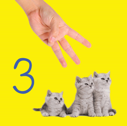 We count on our fingers - leporelo