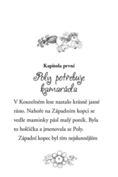 Zvířátka z Kouzelného lesa – Poník Poly - Lily Small