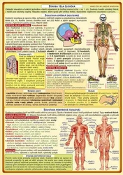 Overview of Natural Science Teachers (part 2)