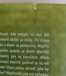 Walks with Peety (damaged)