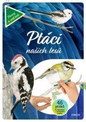 Ptáci našich lesů - 46 ptáků k obkreslení + průhledné papíry