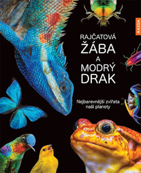 Rajčatová žába a modrý drak