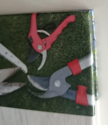 Cutting and shaping of wood species