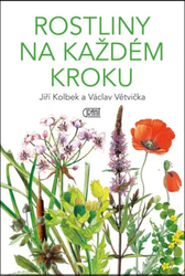 Рослини на кожному кроці