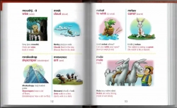 Dětský česko-anglický obrázkový slovník s přepisem výslovnost - poškozené