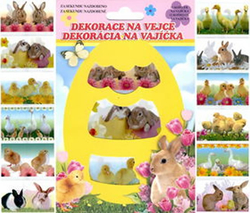 Mercifying decoration on egg live animals 12pcs