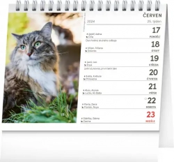 Stolní kalendář Kočky – se jmény koček 2024, 16,5 × 13 cm