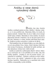 Anička ve městě - Ivana Peroutková