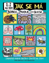 But that's a day! How to Bobek, Spider or Lightning - a fun book of facts about life on the ground
