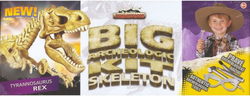 Big archeological kit skeleton - Tyrannosaurus Rex