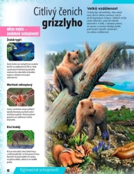 Úžasná zvířata a jejich superschopnosti