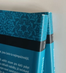 V zemi neviditelných žen - Putování lékařky po Saúdském království