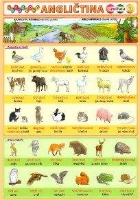 Obrázková angličtina 1 - zvířata