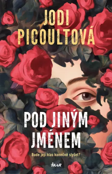 Pod jiným jménem - Picoultová Jodi