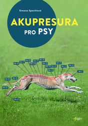 Acupressure for dogs