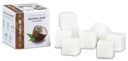 Scented wax - SWEET COCONUT 30 g, 8 cubes