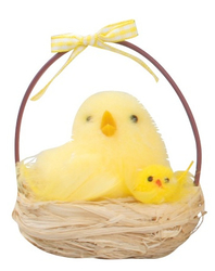 Natural basket with chick