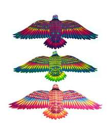 Flying dragon eagle 132 x 60 cm